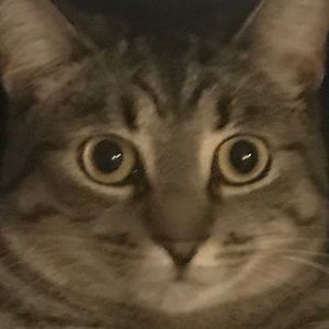 Meet your Posher, Melody